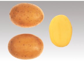 Snímek obrazovky 2026 01 14 123937