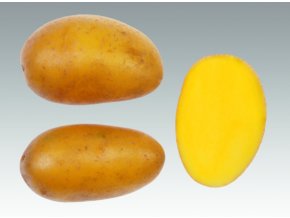 Snímek obrazovky 2026 01 14 140156