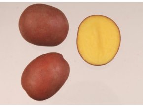 Snímek obrazovky 2026 01 14 141847