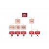 157 1 redplex a bionutrion 1