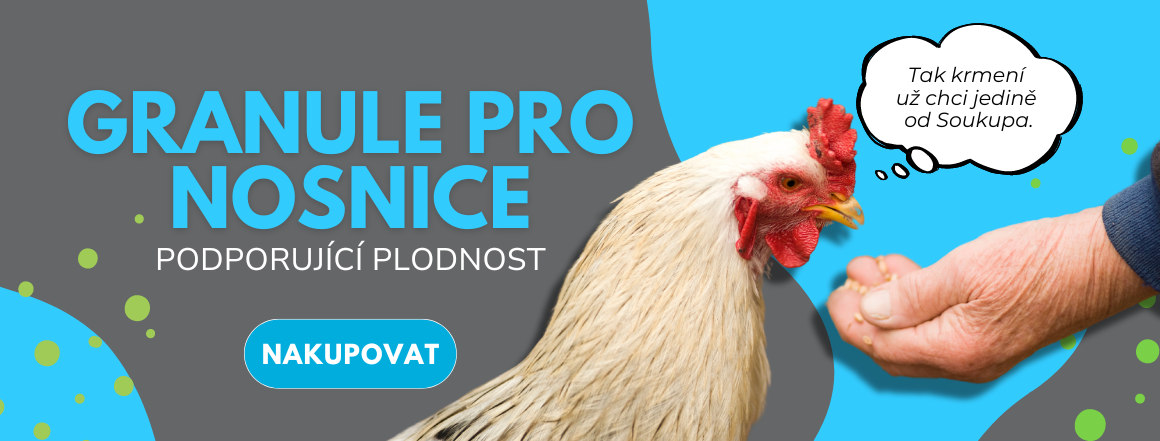 Granule pro nosnice nový č.1