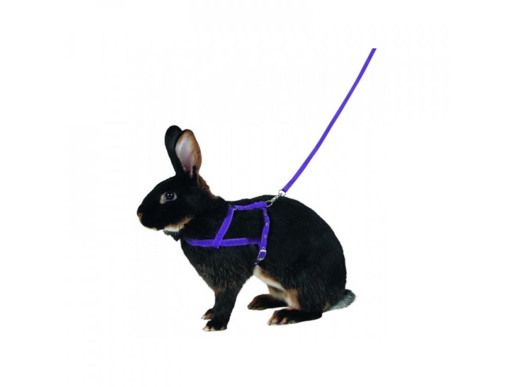 KERBL Postroj a vodítko pro králíka pro agility, 200 cm, L