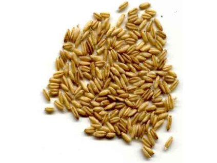 1767 avicentra oves nahy 25kg