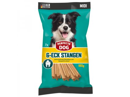 perfecto dog midi 1