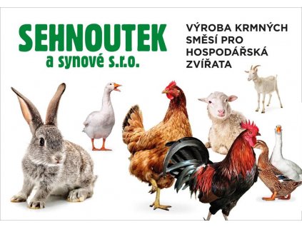 plakat sehnoutek