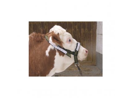 5812 ohlavka pro kravy a mlade bycky