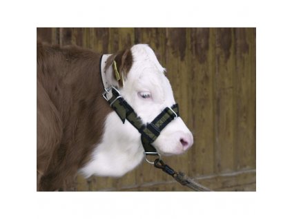 5815 ohlavka pro telata top zelena