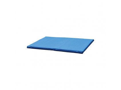 699576 1 rohoz desinfekcni plne dno 85 x 63 x 3 cm