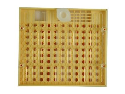 klicka zakladni nicot