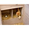 Kurník pro slepice Emma(6)