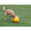 Nezničitelný míč pro psy
