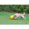 Nezničitelný míč pro psy (3)