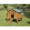 polly duplex 4xl 8
