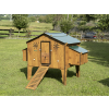 polly duplex 4xl 9