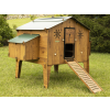 polly duplex 4xl 10