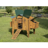 polly duplex 4xl 6
