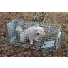 profesionalni past na skodnou zver lisky kuny psy vydry a bobry zl102x34x34 velice odolny jednostranny sklopec se zaklopkou 8