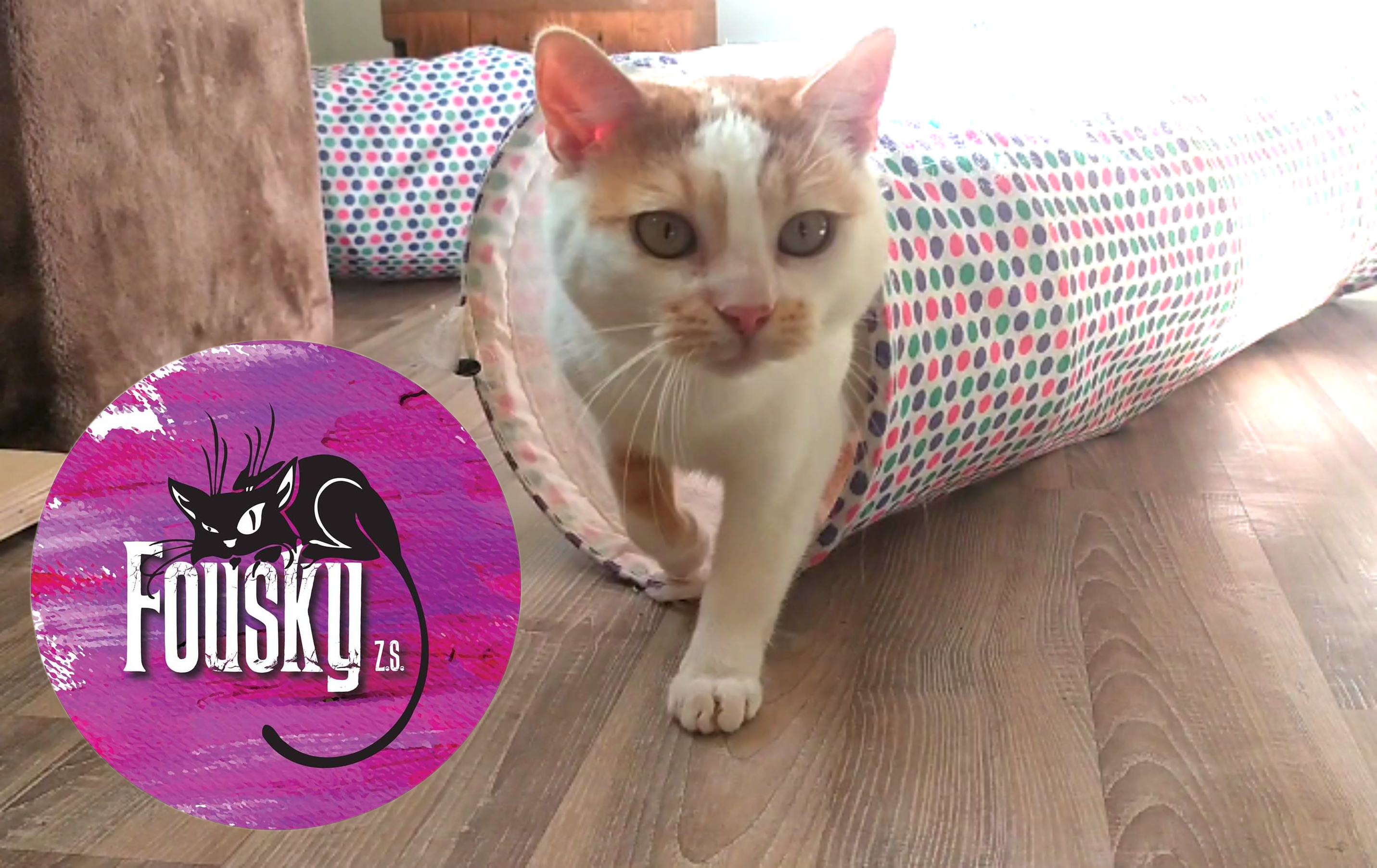 Návštěva Fousky z.s.