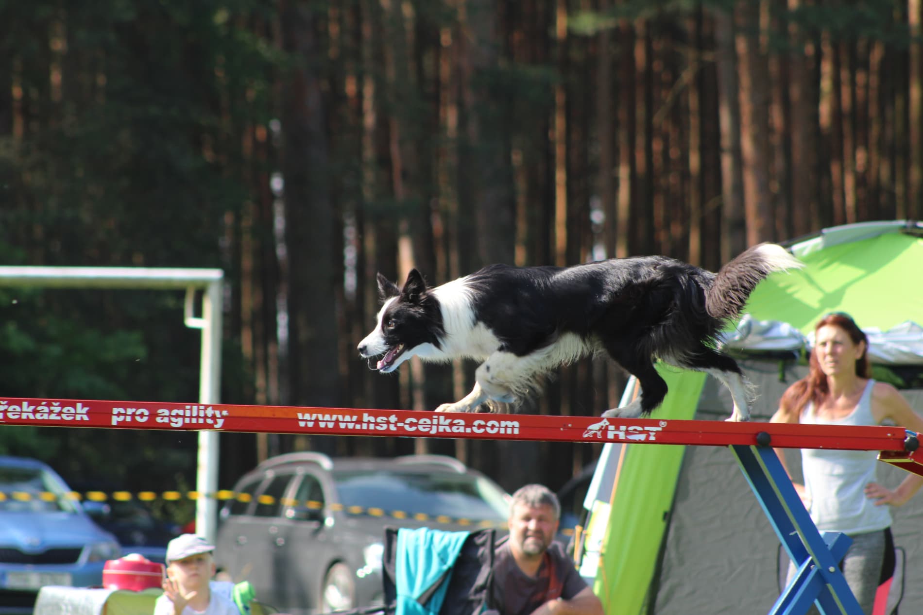 Agility Mrtník | Sponzorství