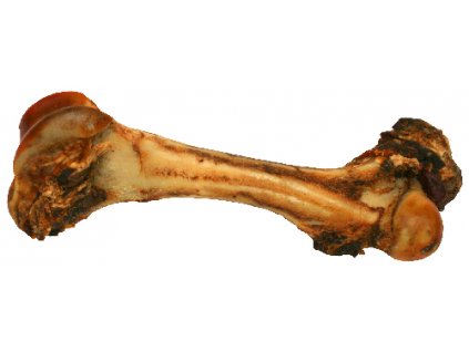 Kost sušená č.5 detail