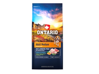 Snímek obrazovky 2026 02 18 200444