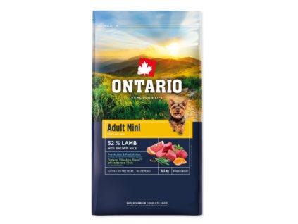 Snímek obrazovky 2026 02 18 195601