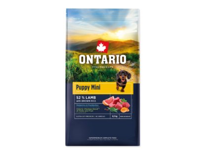 Snímek obrazovky 2026 02 18 194842