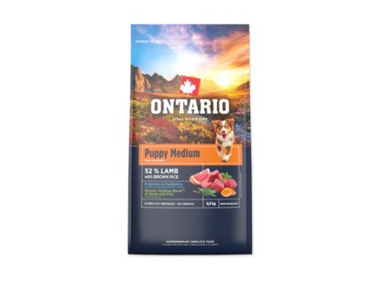 Snímek obrazovky 2026 02 18 194426