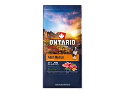 Snímek obrazovky 2026 02 18 200657