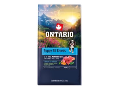 Snímek obrazovky 2026 02 18 194708