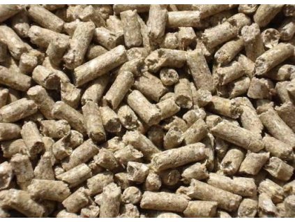 WhatsApp Image 2026 01 17 at 10.14.46