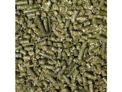 WhatsApp Image 2026 01 17 at 15.30.43