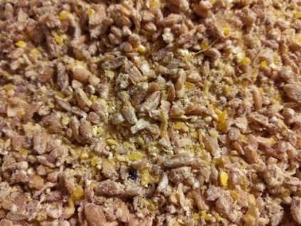 WhatsApp Image 2026 01 17 at 15.46.04