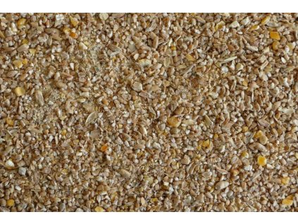 WhatsApp Image 2026 01 17 at 15.52.56