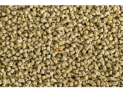 WhatsApp Image 2026 01 17 at 16.13.33