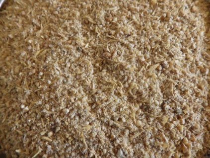 WhatsApp Image 2026 01 17 at 16.38.49