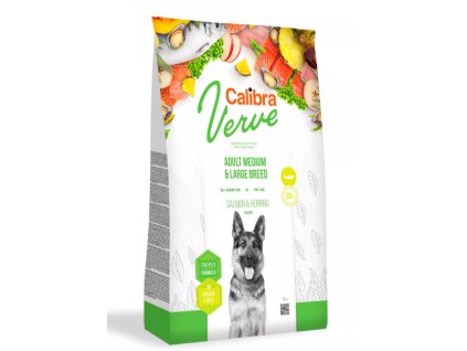 Snímek obrazovky 2026 01 30 204504