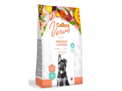 Snímek obrazovky 2026 01 30 212353