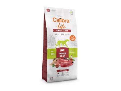 Snímek obrazovky 2026 02 01 235045