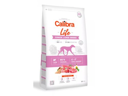 Snímek obrazovky 2026 02 02 000448