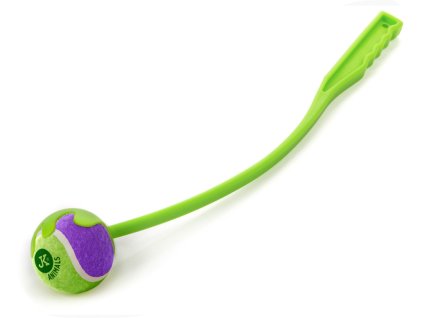 Snímek obrazovky 2026 02 17 181611