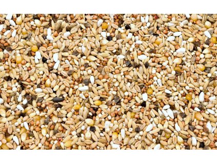 19. L lehce stravitelná s popcornem