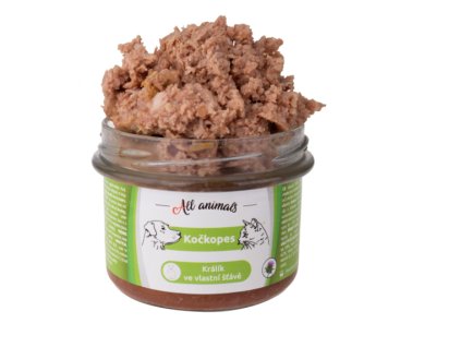 Snímek obrazovky 2026 02 20 214843