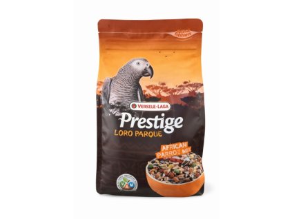 Snímek obrazovky 26 2 2026 1690 chatgpt.com