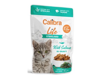 Snímek obrazovky 2026 02 26 215538