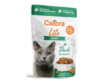 Snímek obrazovky 2026 02 26 221909