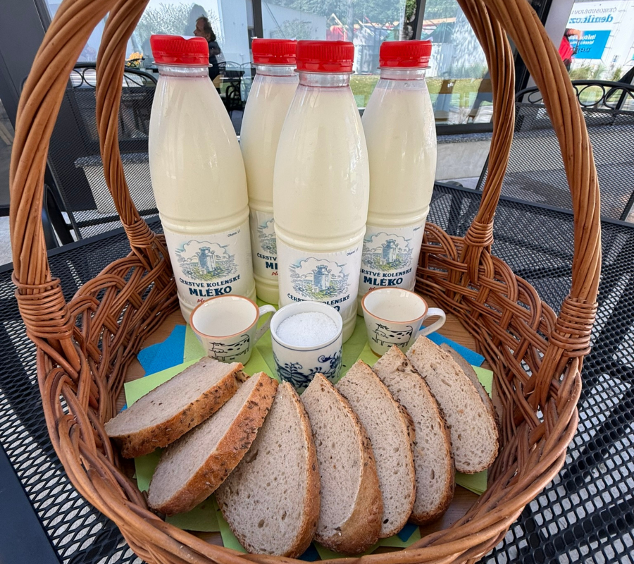 Zlatý klas pro Kolenské mléko