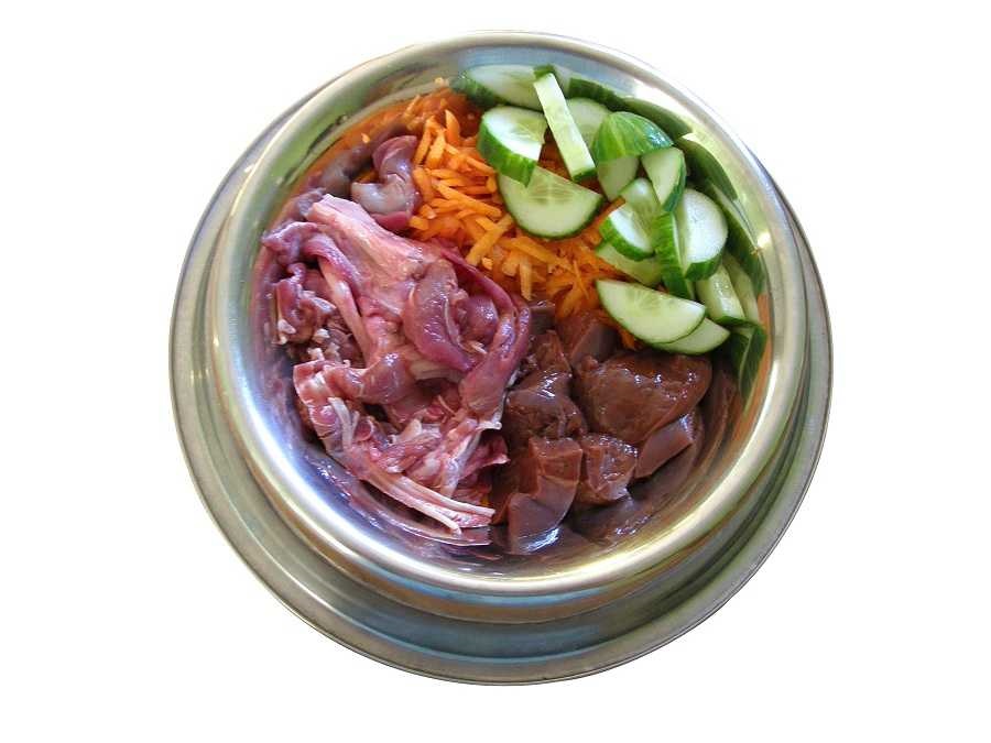 Jak přejít z granulí na BARF