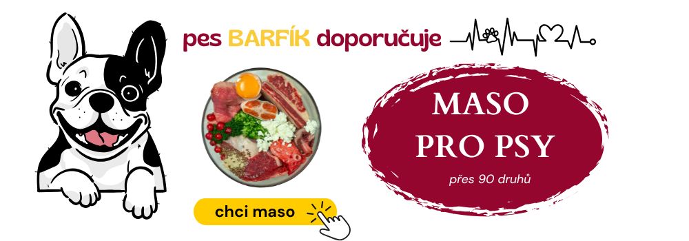 Maso pro psy a kočky BARF