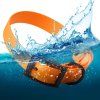 tangerine water 2000 39a561d4 2d63 44c5 b695 aa5dfbb60600